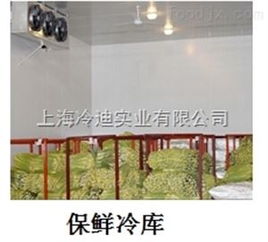 小型保鲜冷库
