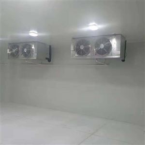 建造400吨大型冷库安装工程大约需要多少钱