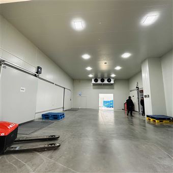 建造100吨葡萄保鲜冷库造价多少钱？