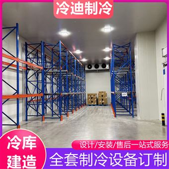二氧化碳冷库造价 CO2制冷设备系统