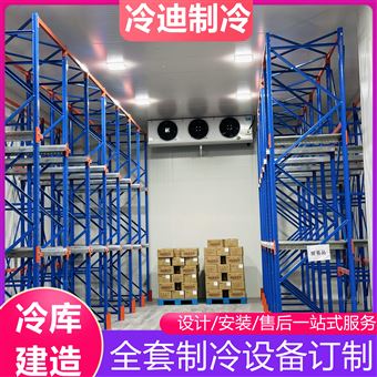 国外大型冷库安装厂家 柬埔寨东南亚周边