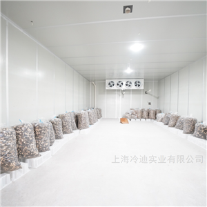 1000吨食品气调冷库安装多少钱