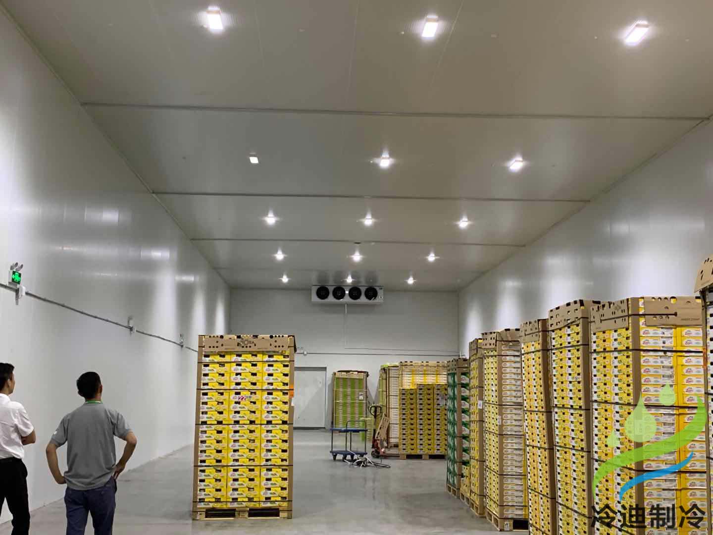 安装5000吨大型果蔬保鲜恒温冷藏库建造工程成本