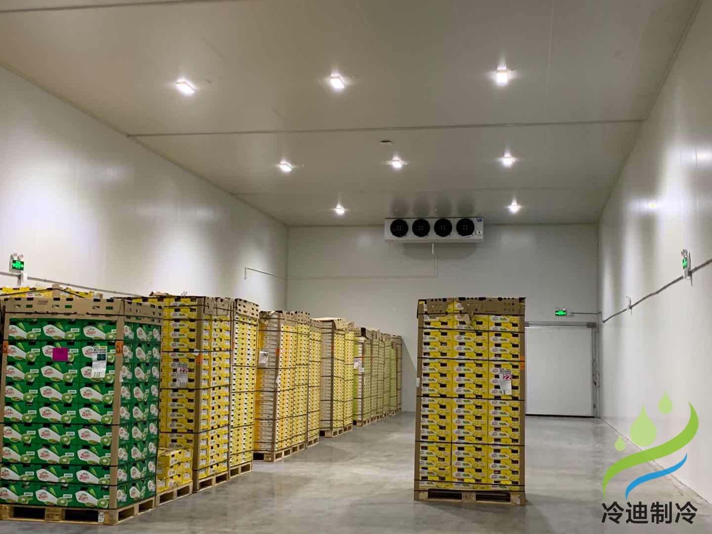安装5000吨大型果蔬保鲜恒温冷藏库建造工程成本