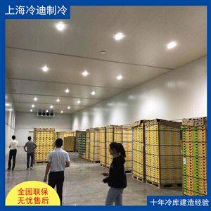 4000平方大型冷冻库造价多少钱 冷库（设计）