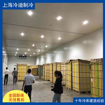 低温冷库4000平方大型冷冻库造价多少钱 冷库（设计）