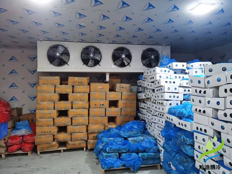 肉类冷冻库，屠宰场小型低温冷库.jpg