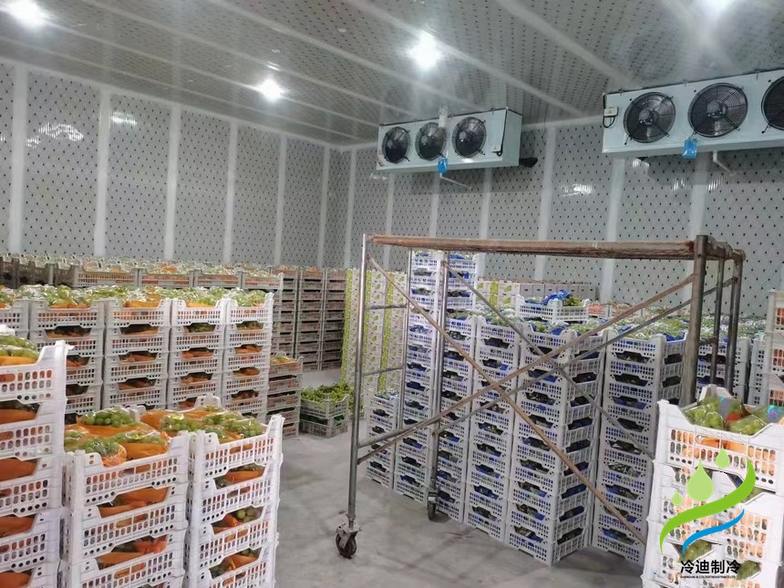 金华安装一个葡萄保鲜冷库造价要多少钱？
